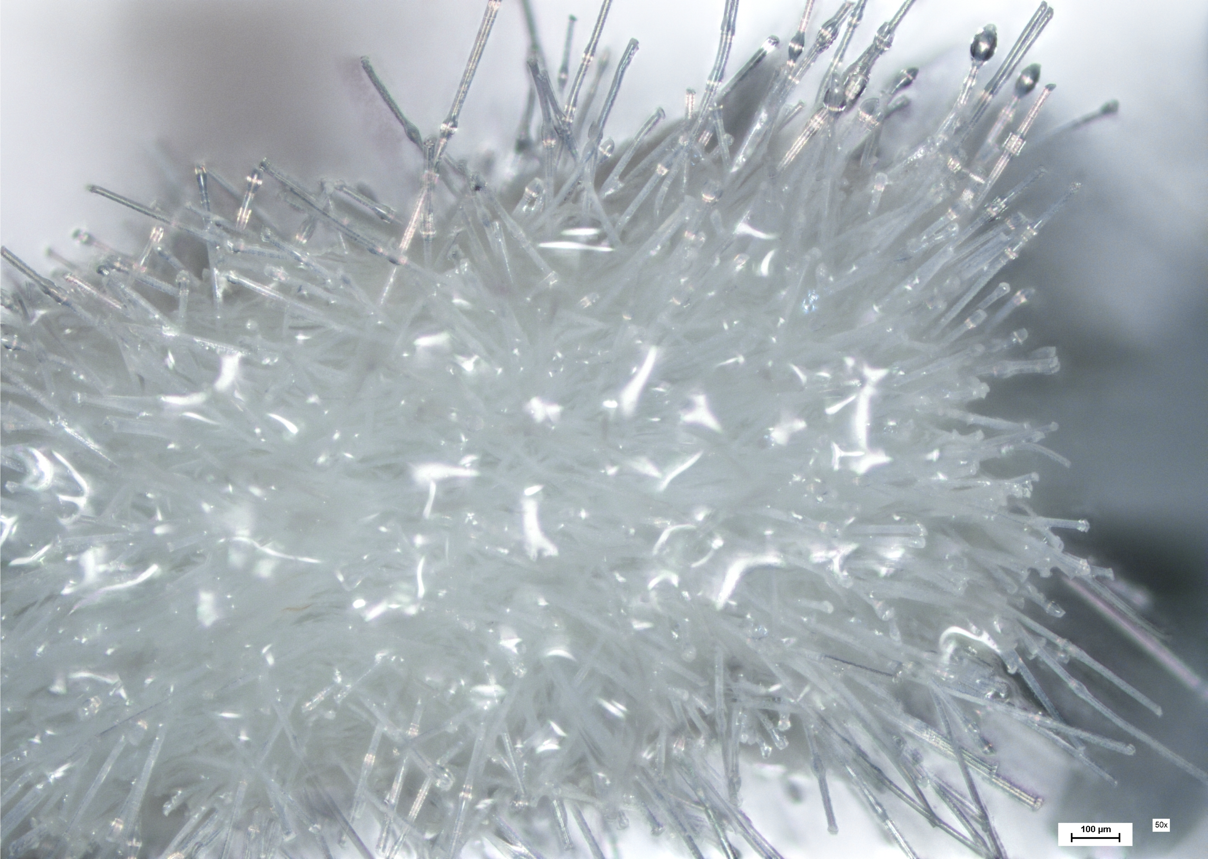 Wet Microbrush
